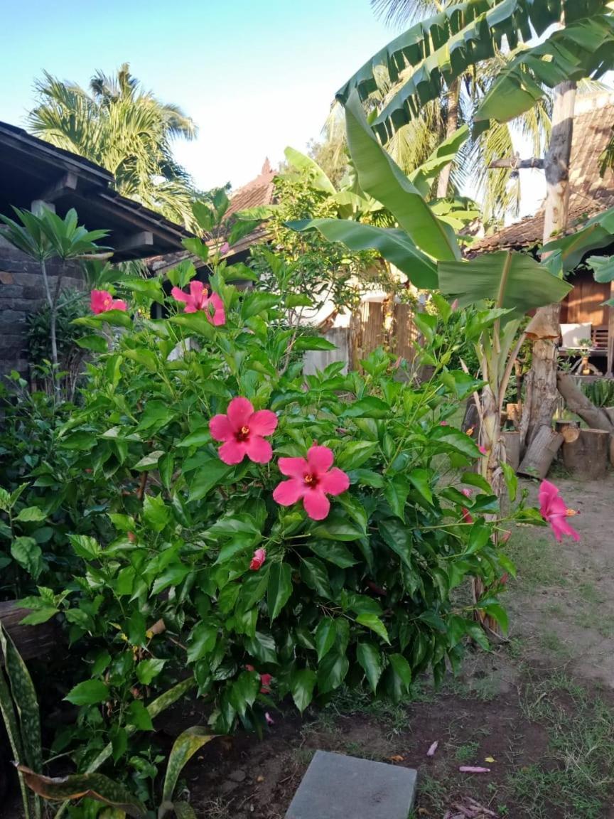 Hotel Blu D'Amare Gili Trawangan Zewnętrze zdjęcie